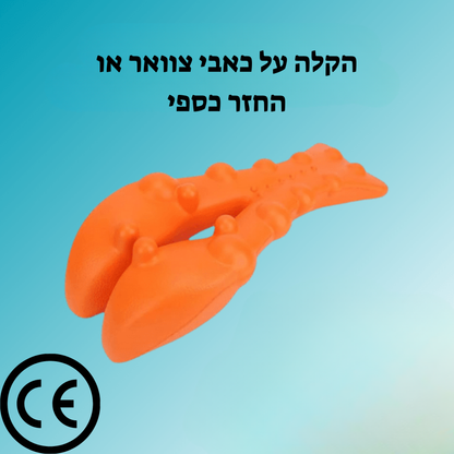 FlexRelief™ | פתרון לשחרור נקודות לחץ בצוואר